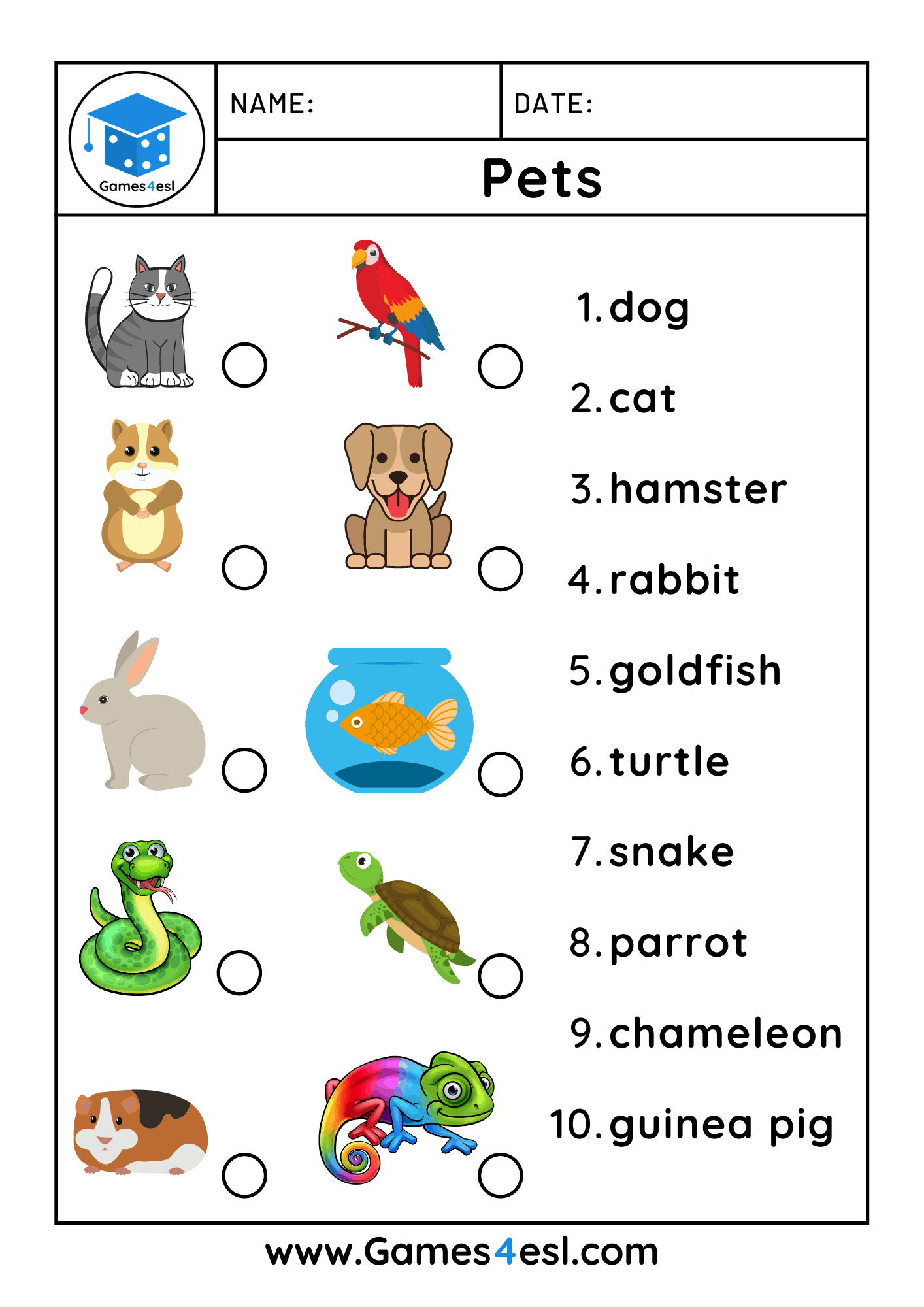 Free Printable Pet Worksheets