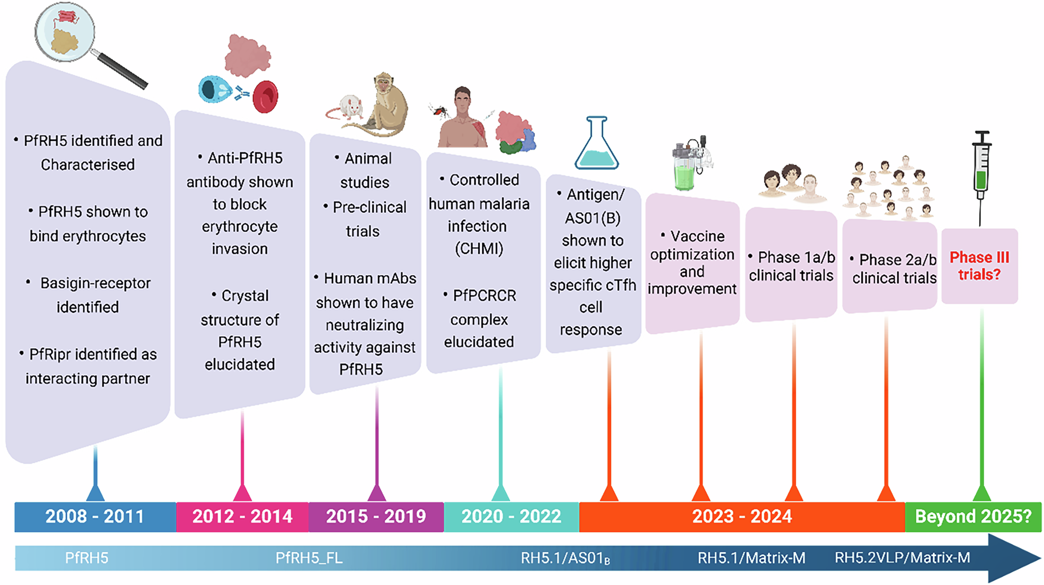 PfRH5 Vaccine From The Bench To The Vial Npj Vaccines