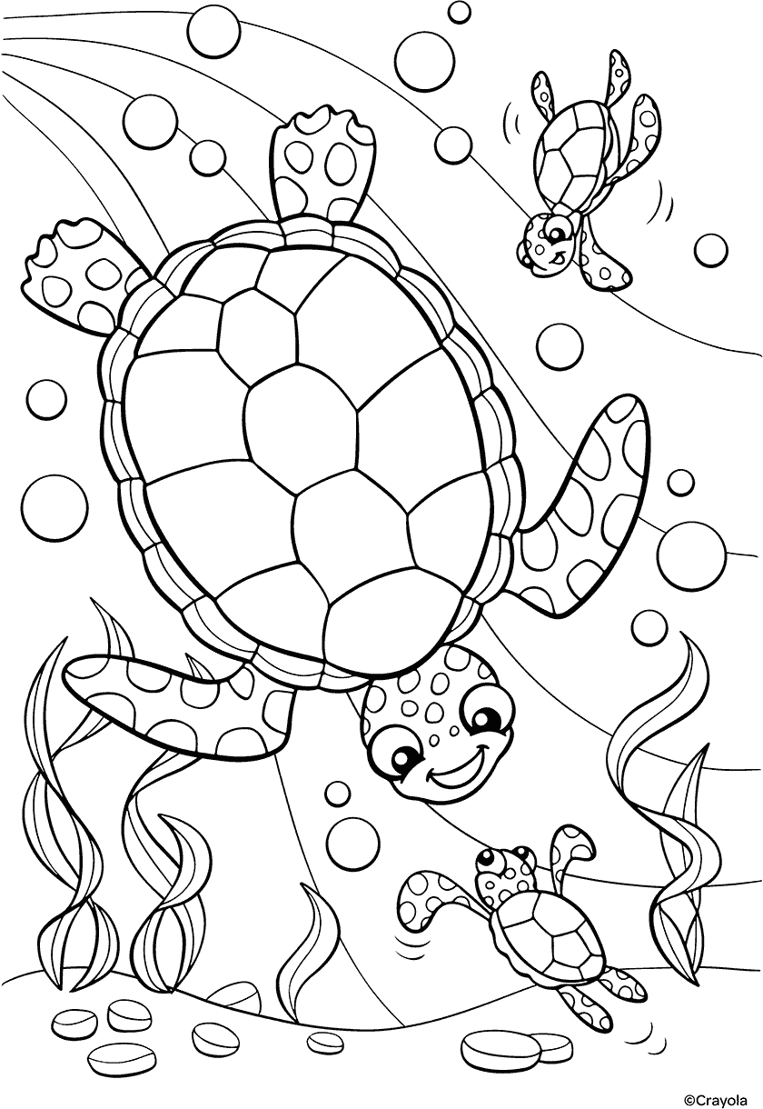 Plants And Animals Free Coloring Pages