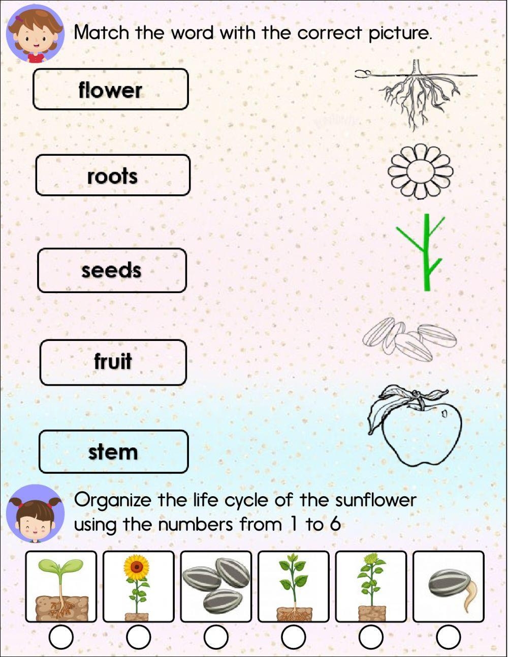 First Grade Science Worksheets Free Printable