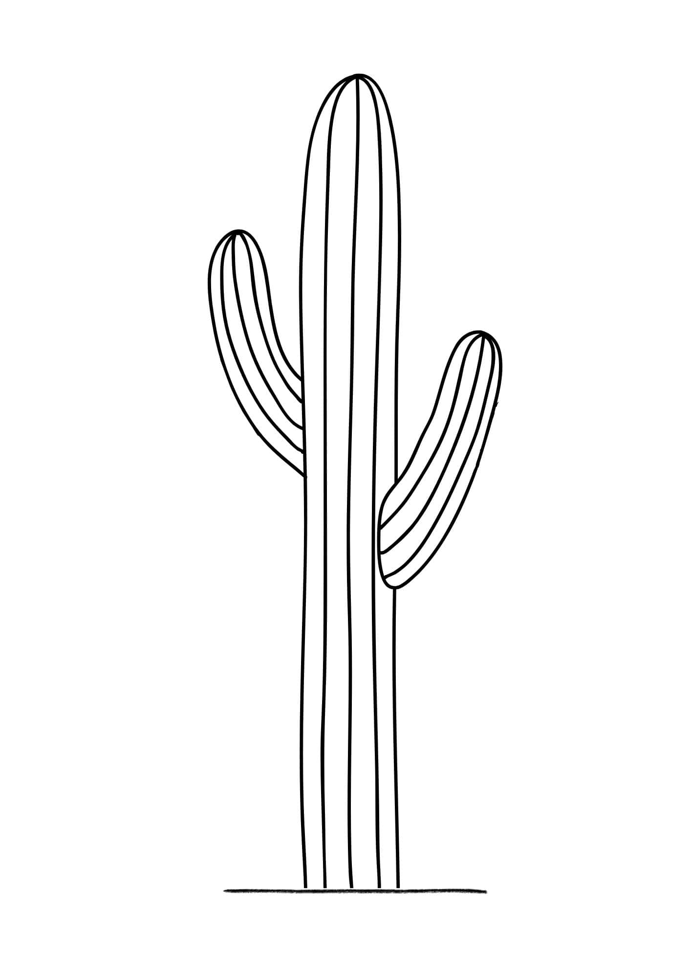 Printable Cactus Template 5 Free Designs The Pink Craft Box