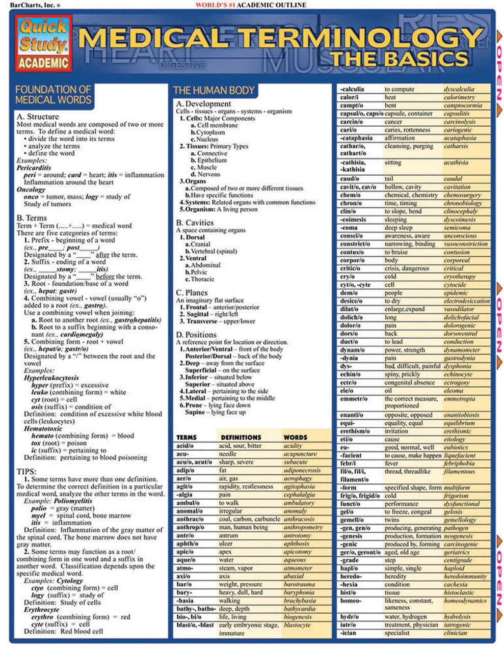 QuickStudy Medical Terminology The Basics Laminated Study Guide 