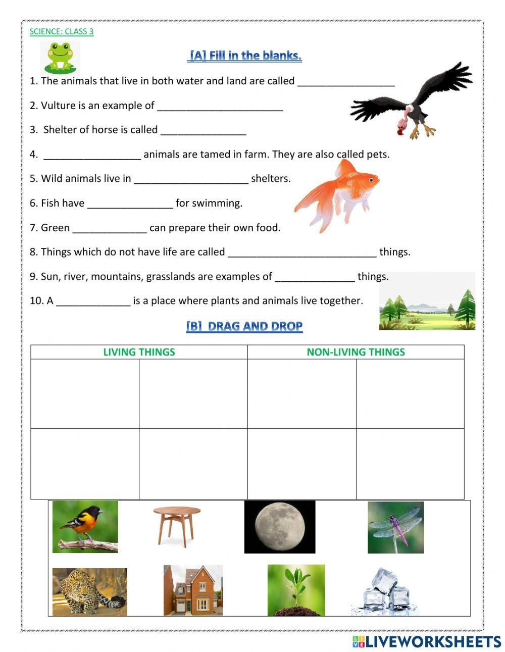 Printable Worksheets For 3rd Grade Science
