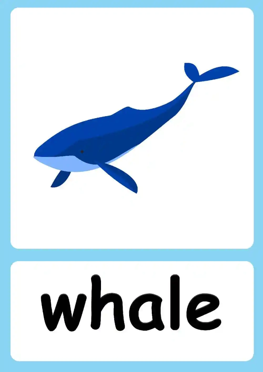 Sea Animal Flashcards FREE Sea Animals Poster 