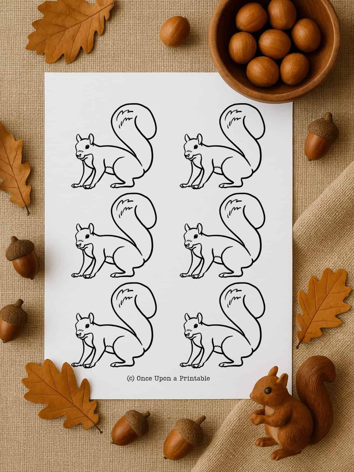 Squirrel Template Printable
