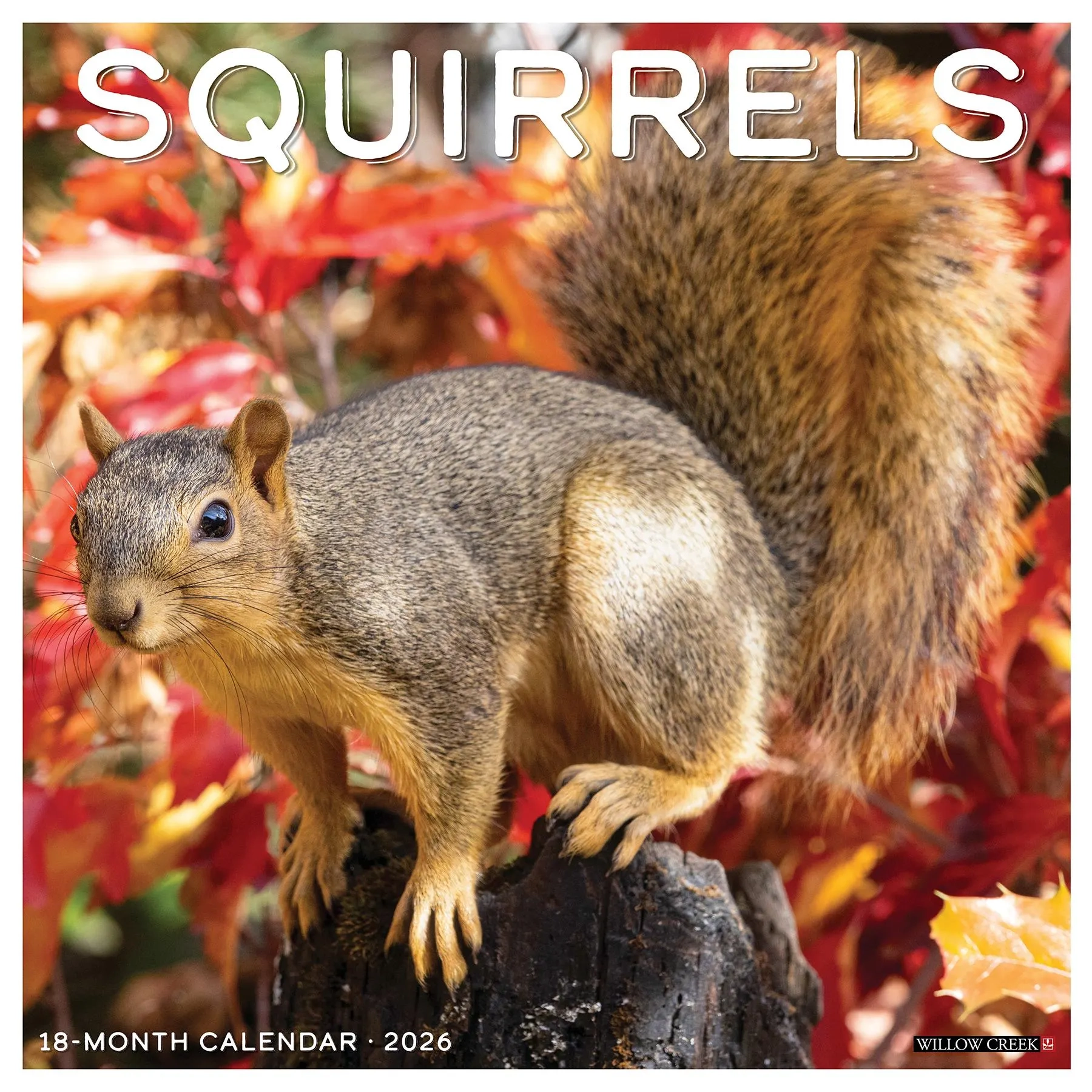 November Calendar 2026 Printable Squirrel