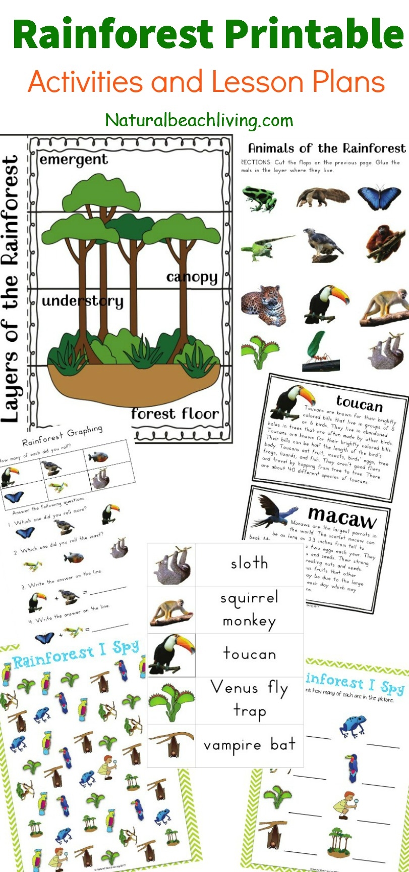 The Best Rainforest Printable Activities For Kids Natural Beach 