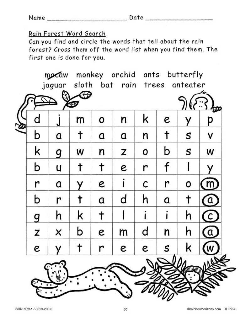 Free Printable Rainforest Worksheets