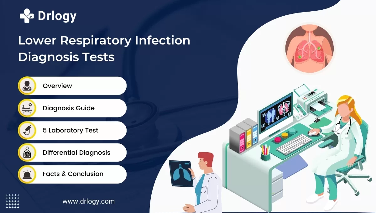 URI Definition Meaning Drlogy