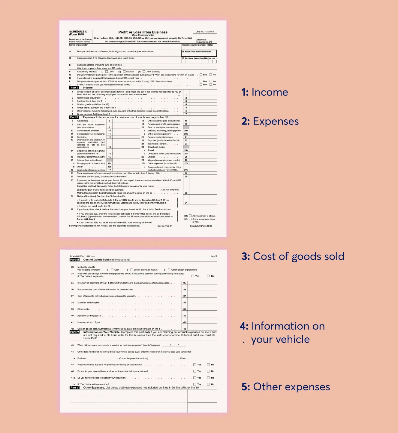 Schedule C Tax Form 2024 Irs